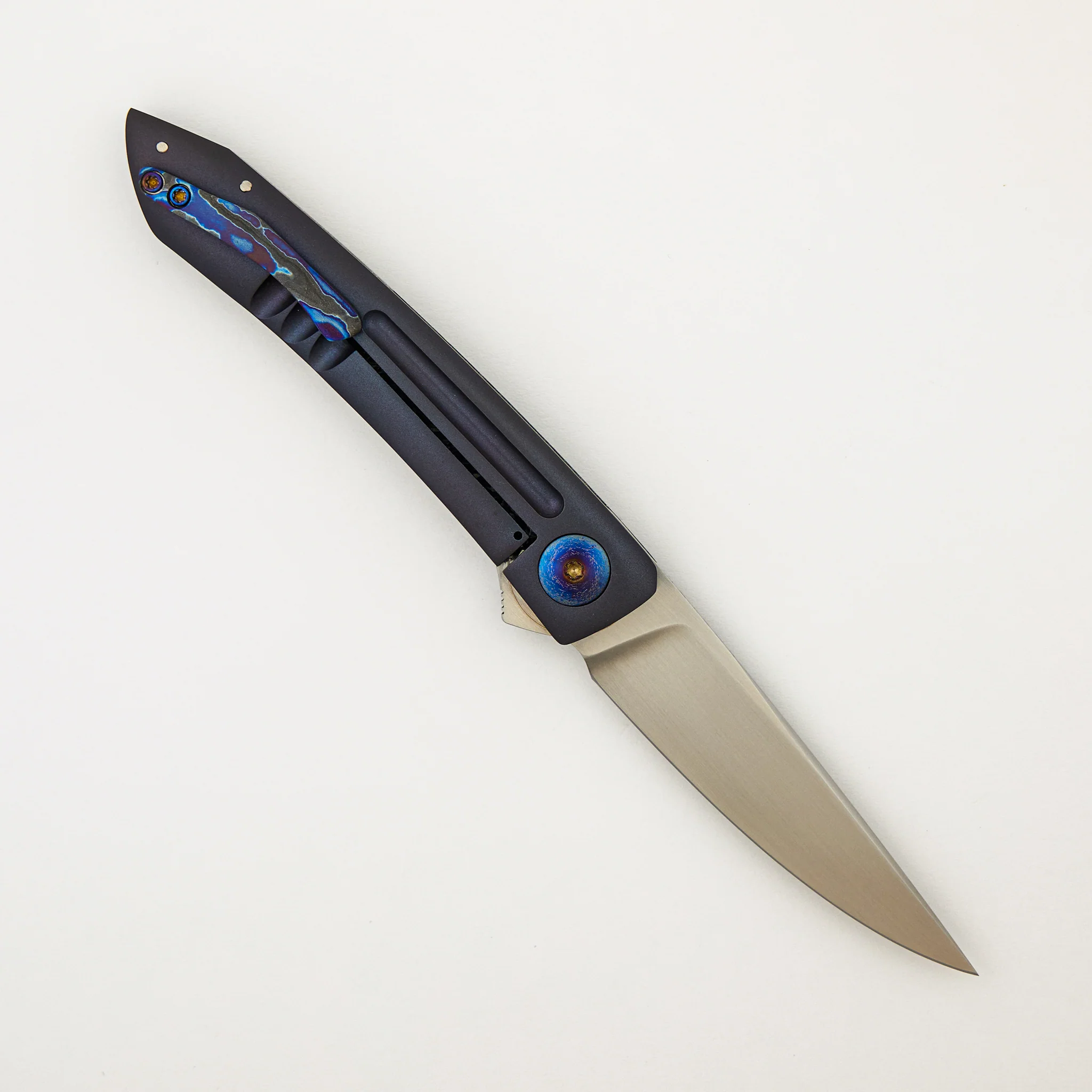 Anchovy - Image 2