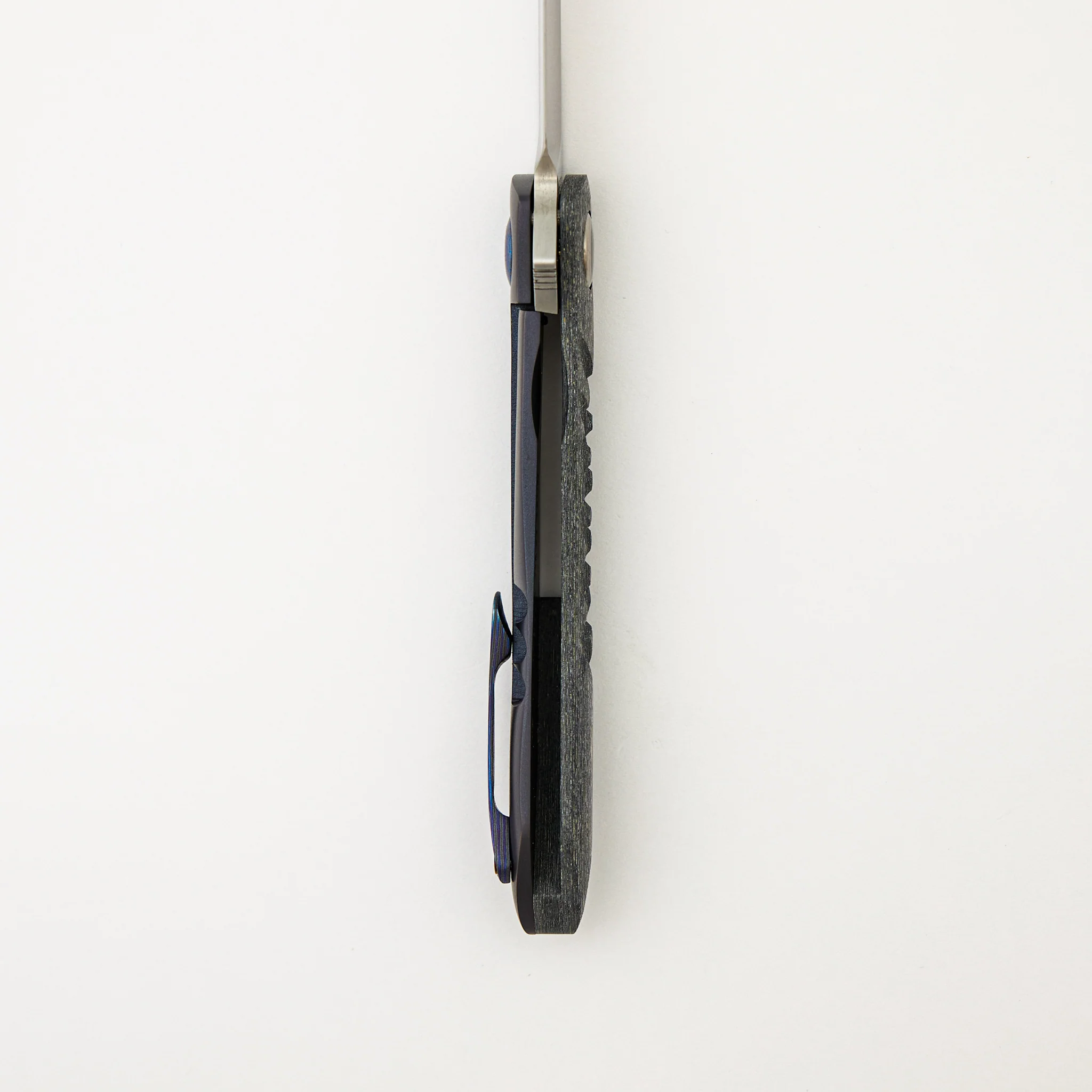 Anchovy - Image 6