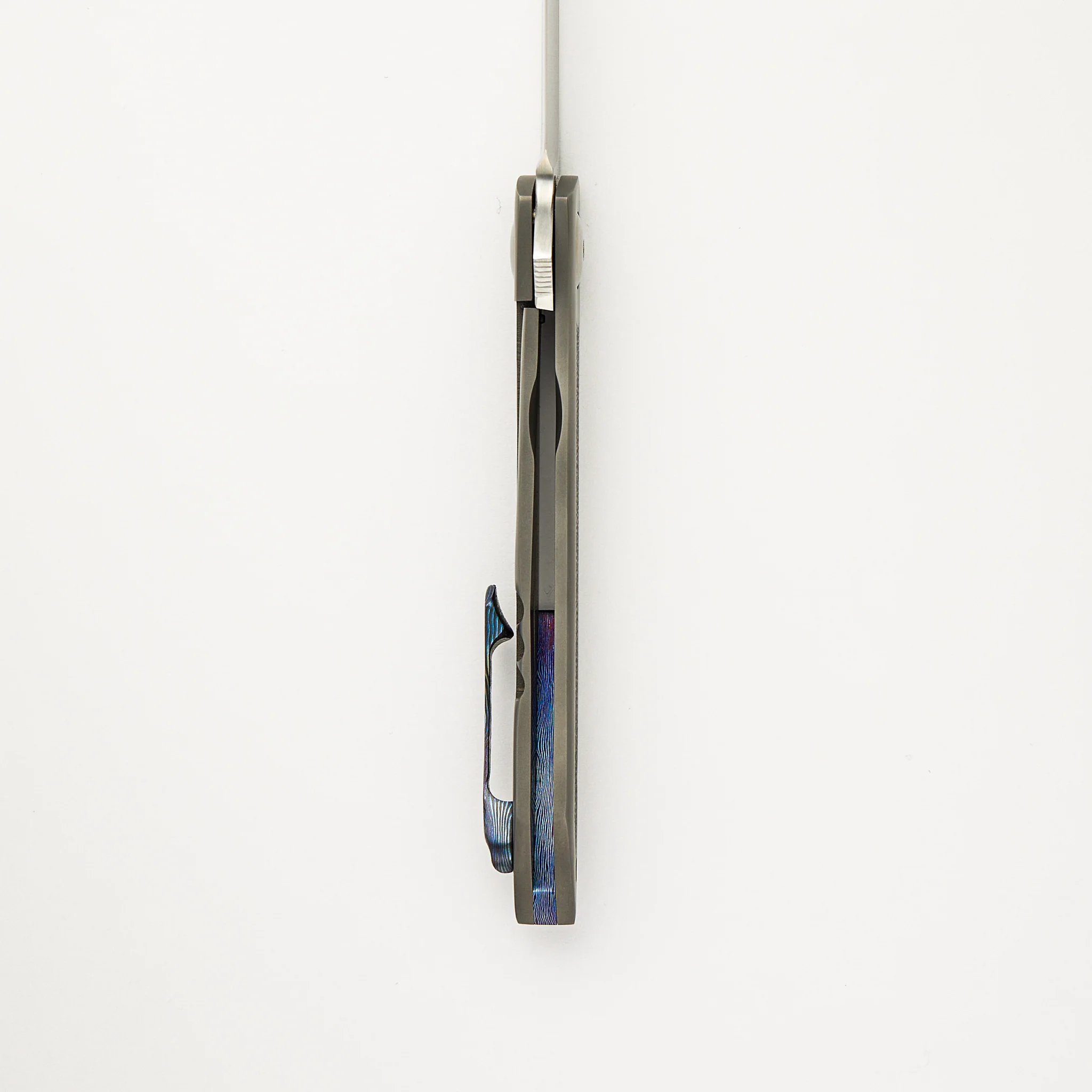 Anchovy - Image 6