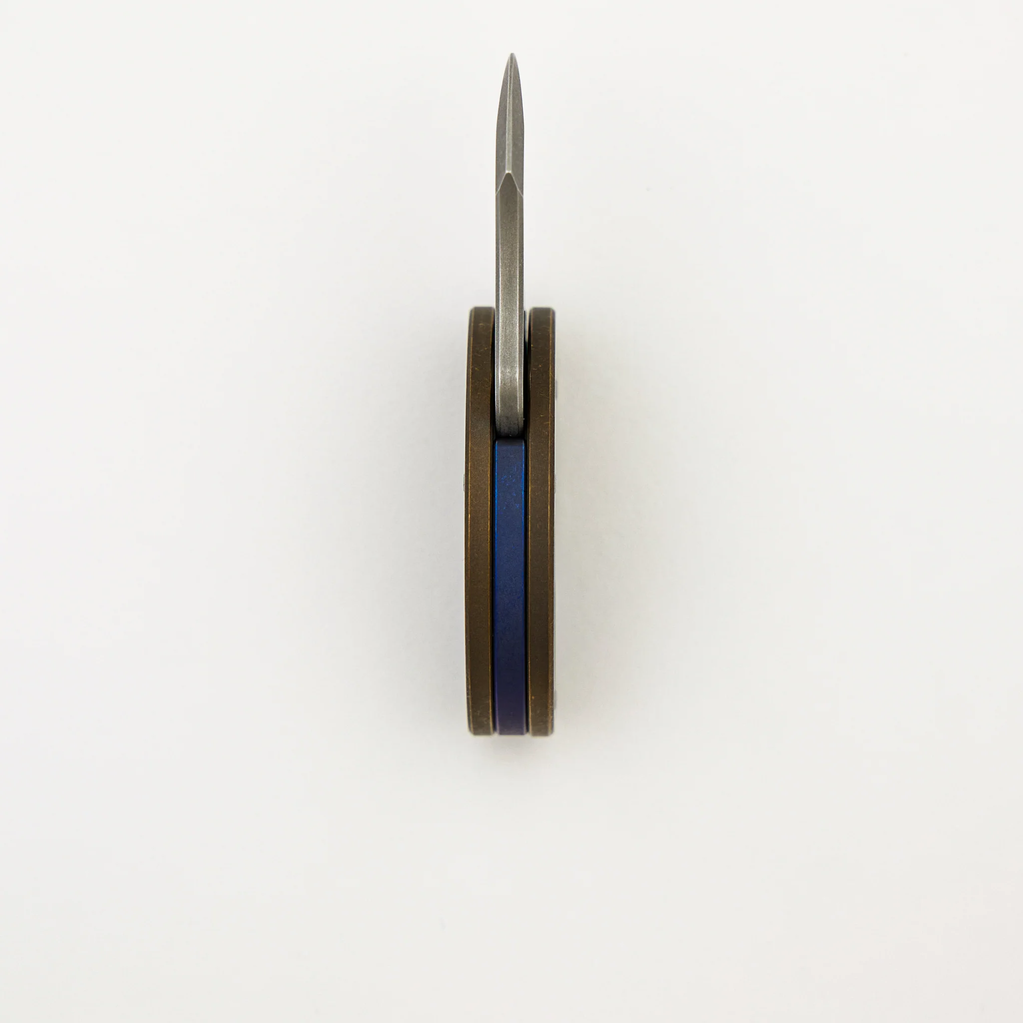 Baby Raptor Coin Claw - Image 6