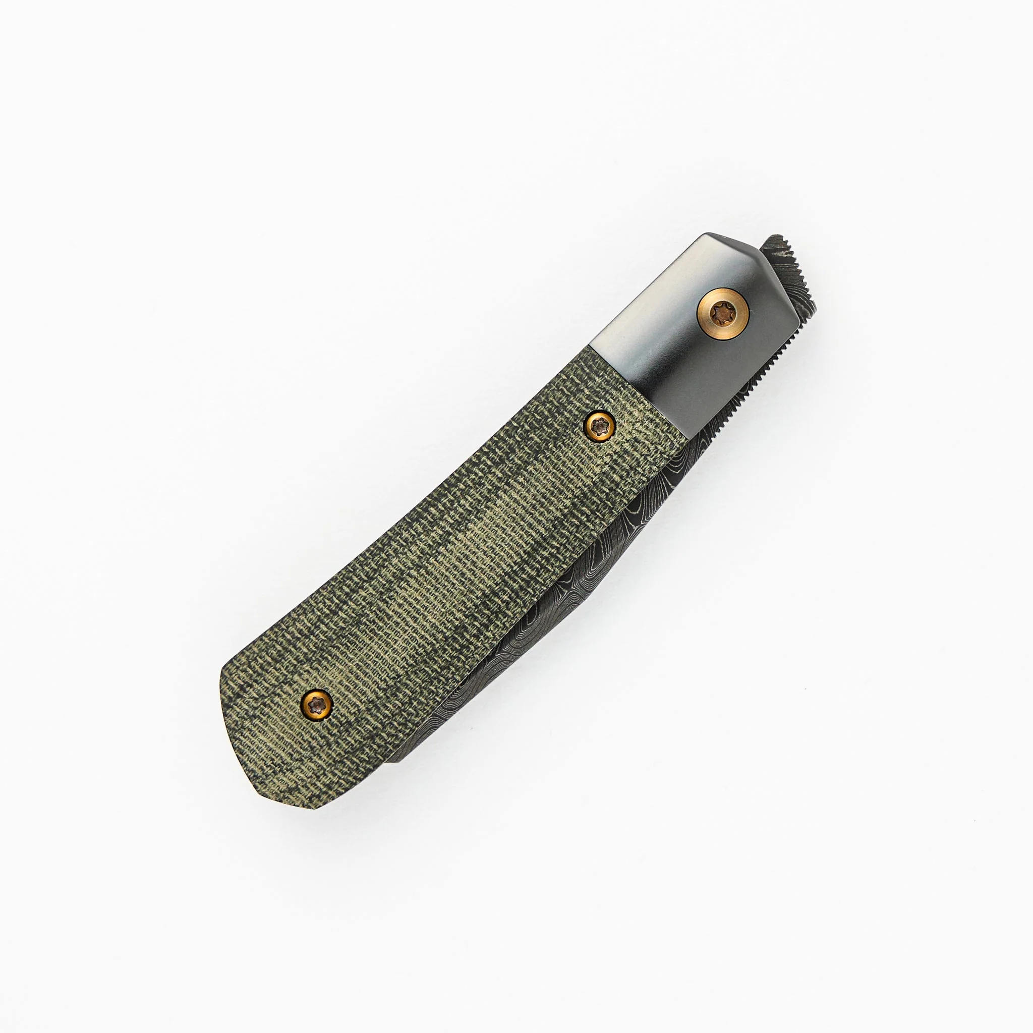 Raptor - Image 4