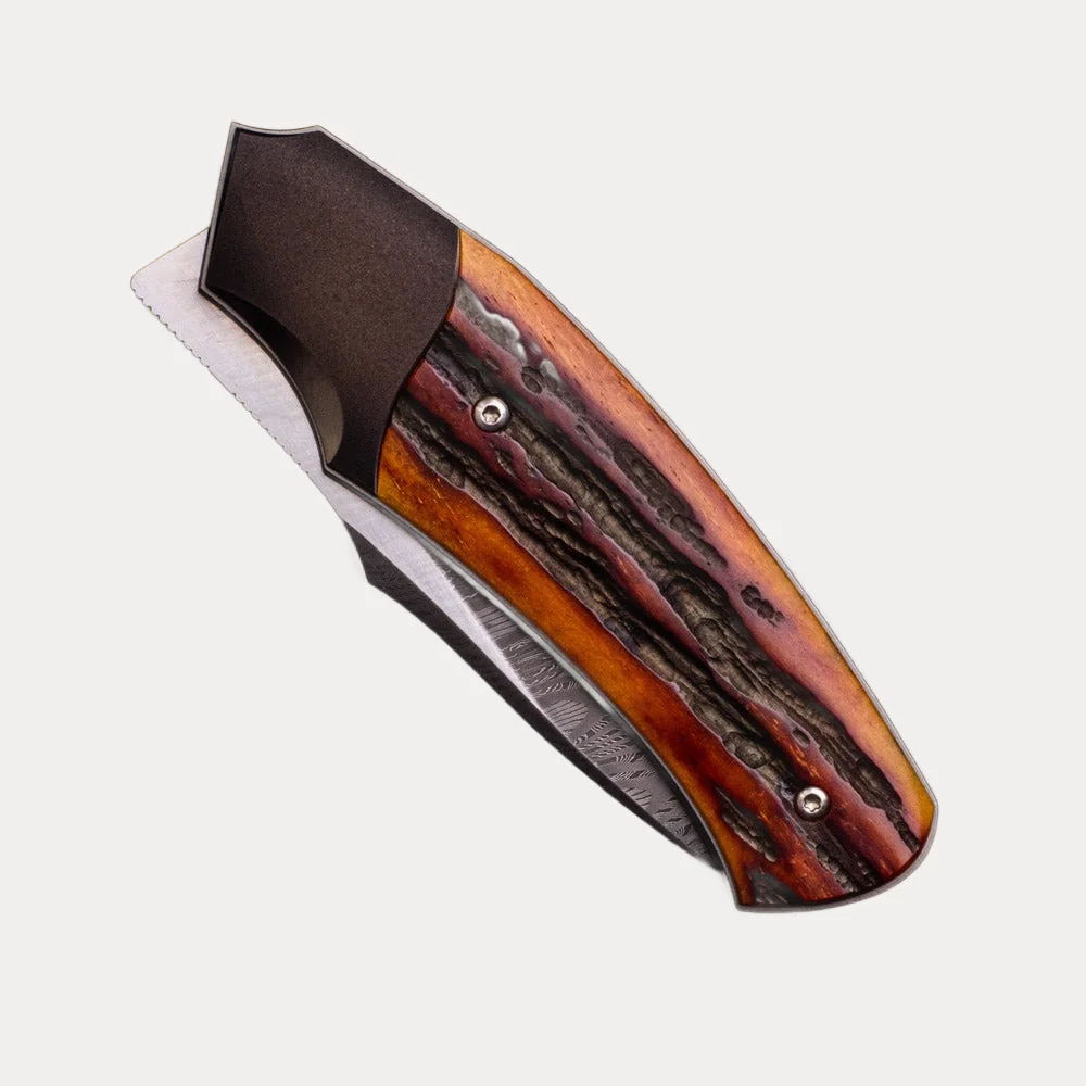Front Flipper - Image 4