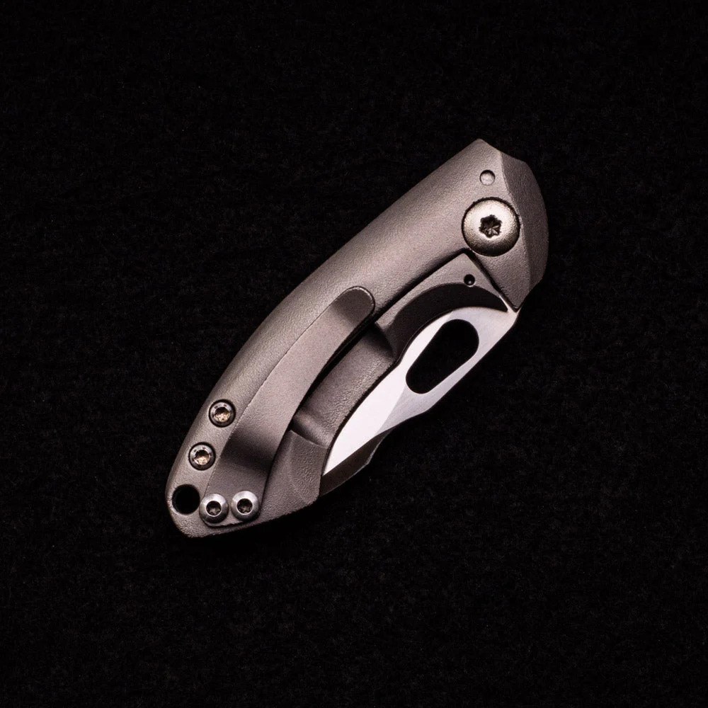 Buzzard - Image 5