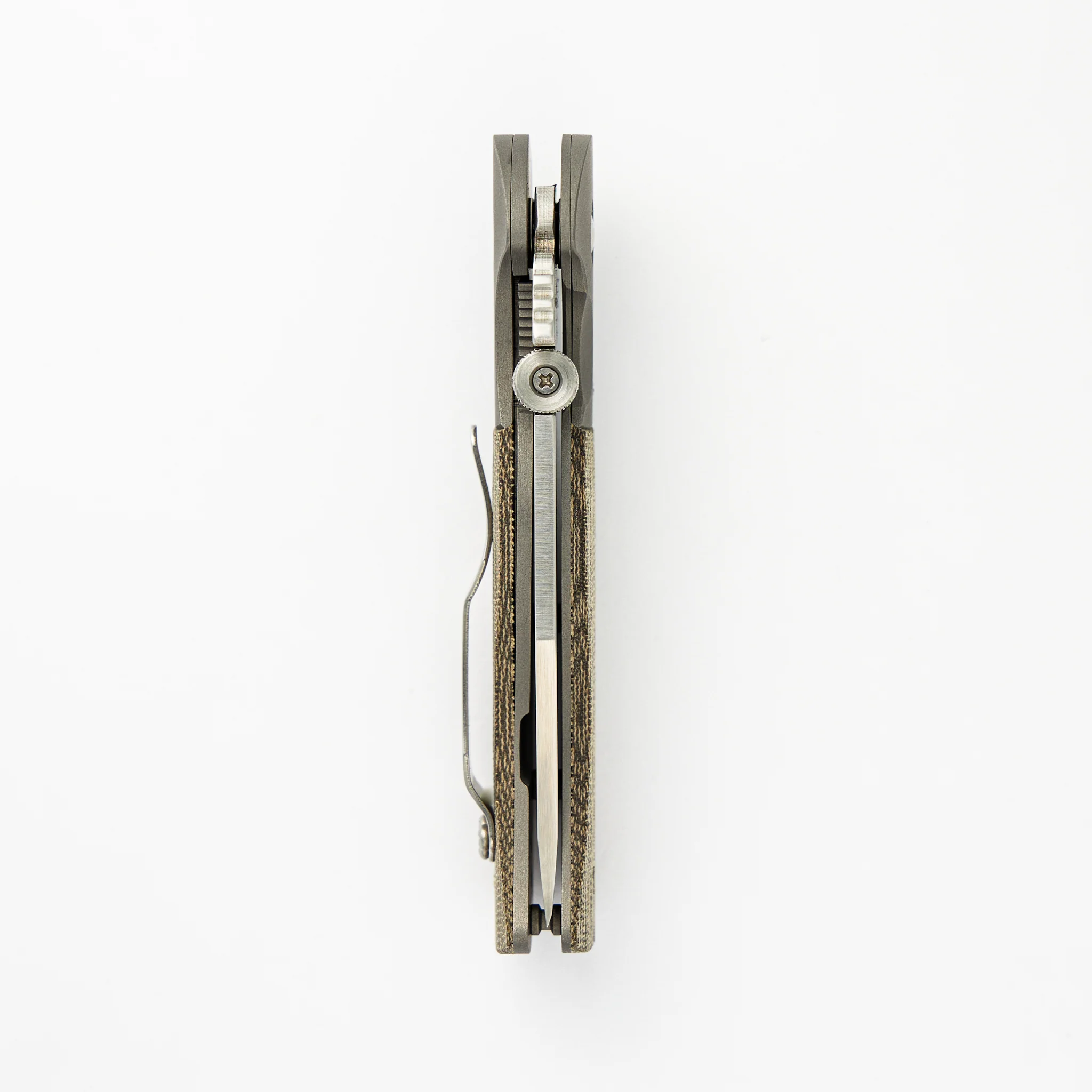 Sheepdog Bowie - Image 5
