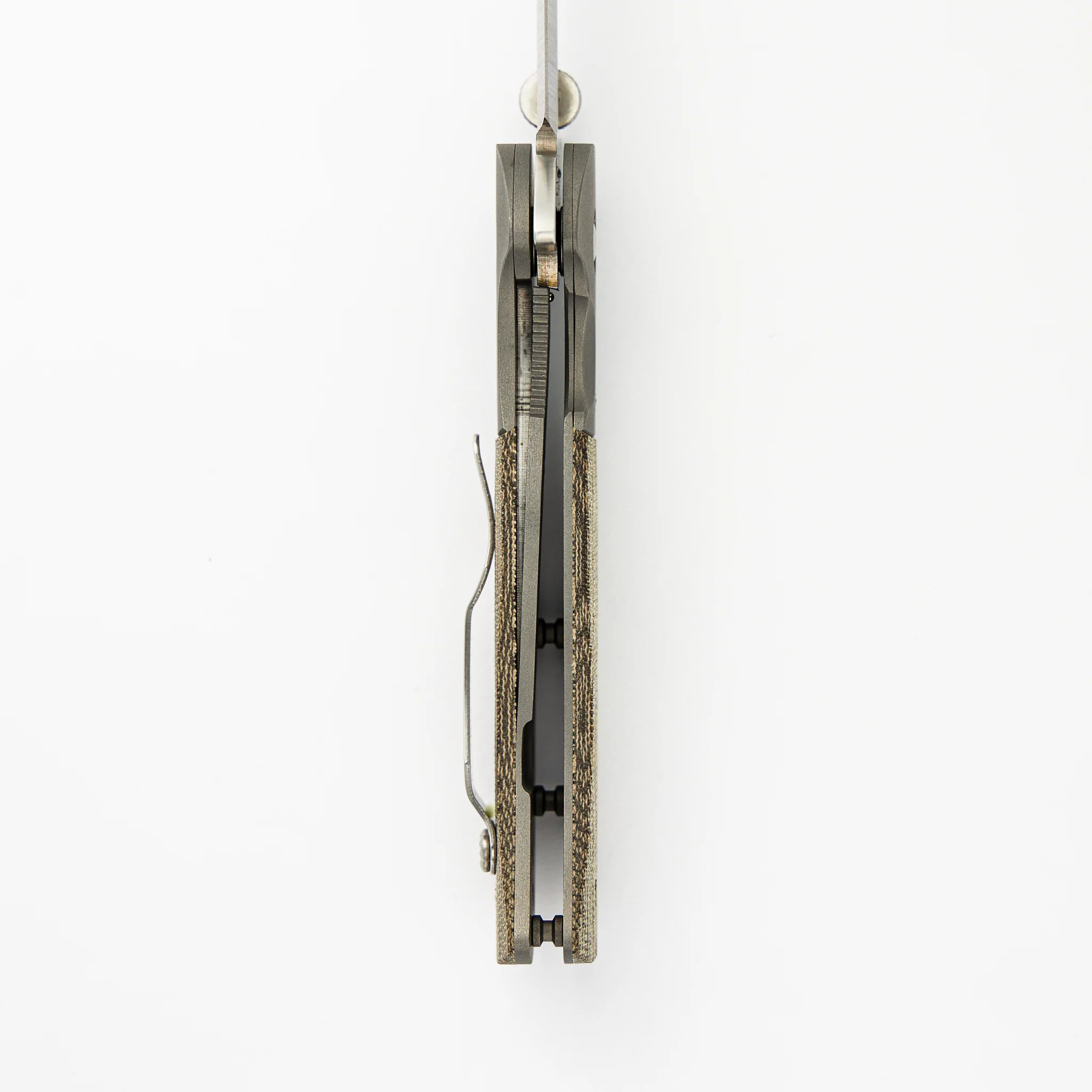 Sheepdog Bowie - Image 6
