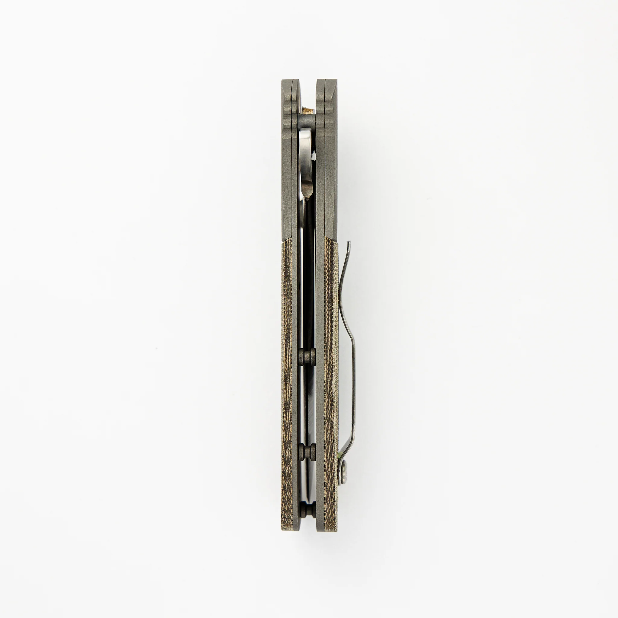 Sheepdog Bowie - Image 7