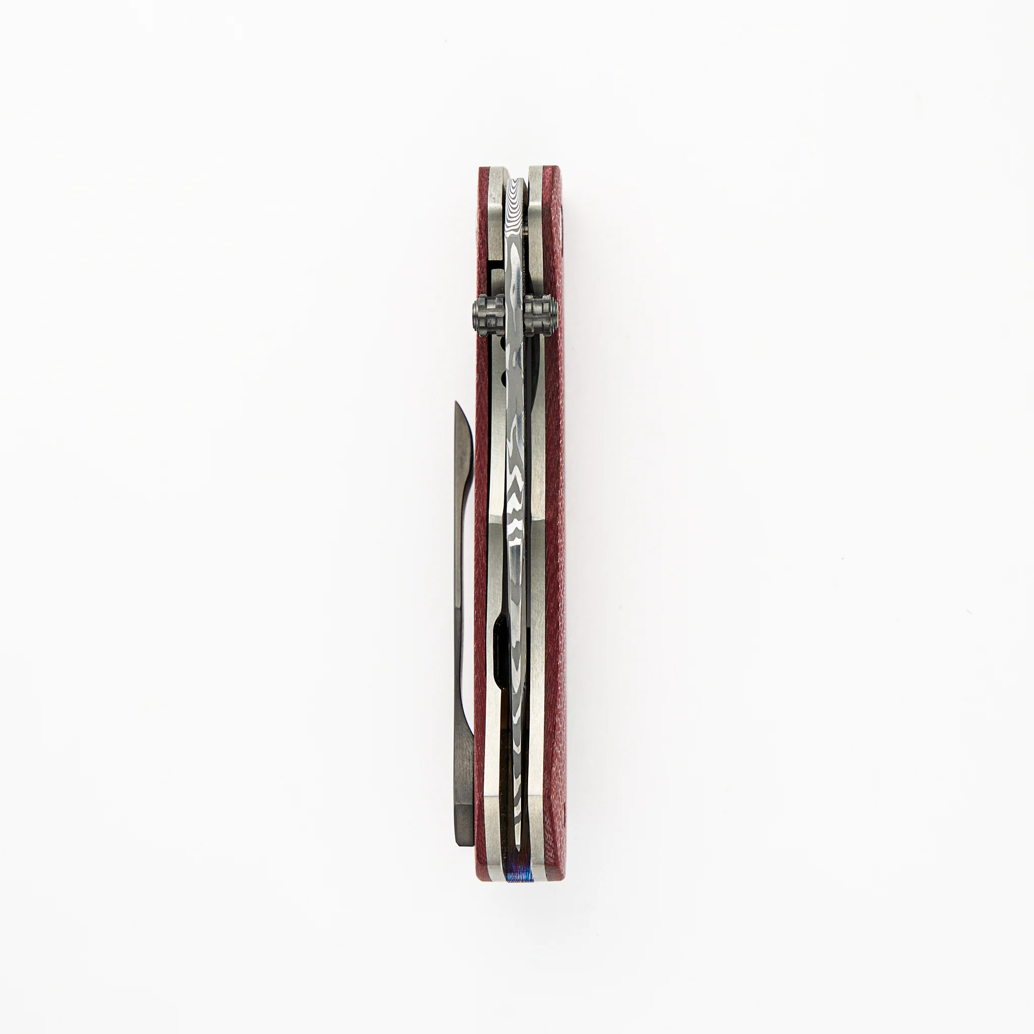 Celerity - Image 5
