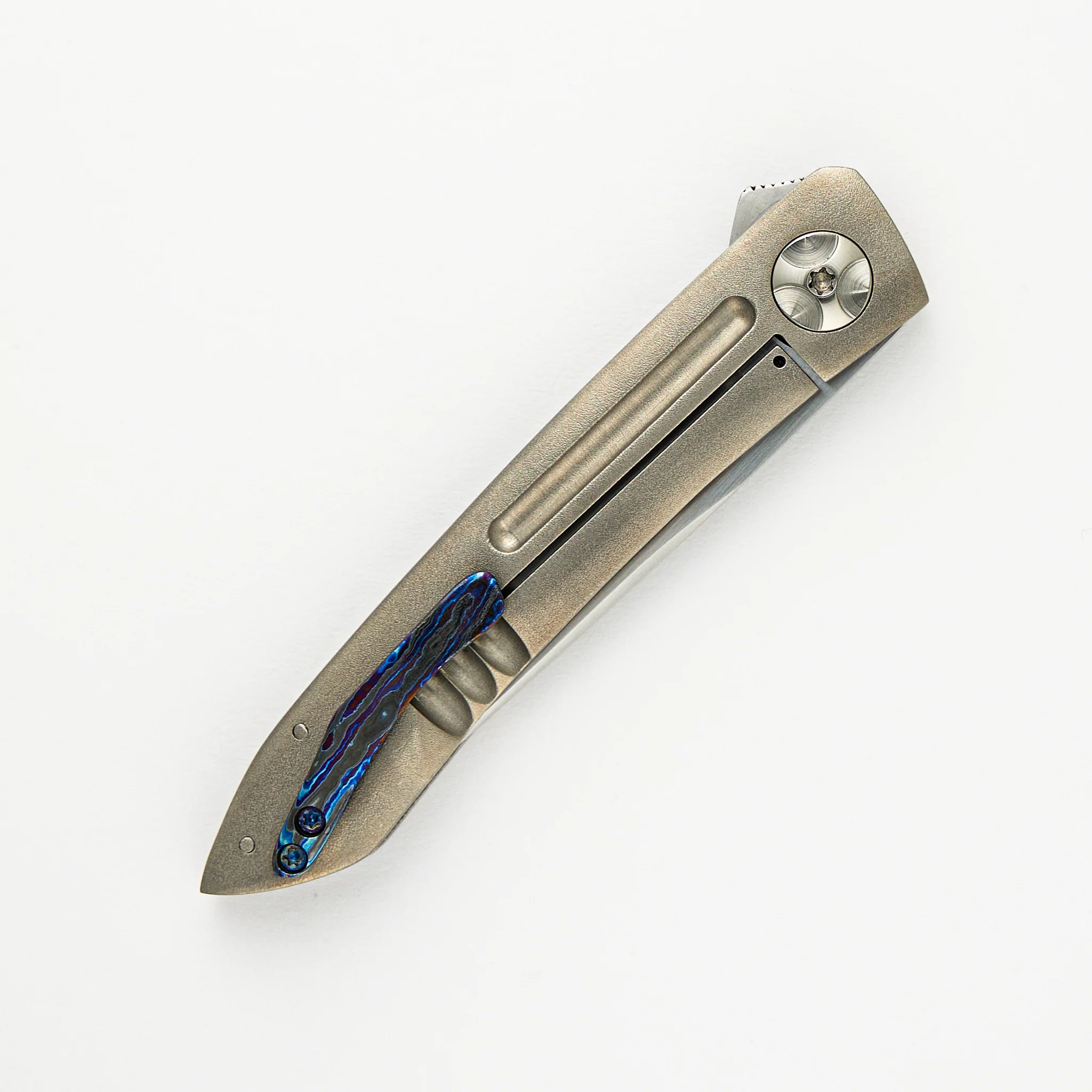 Anchovy - Image 4