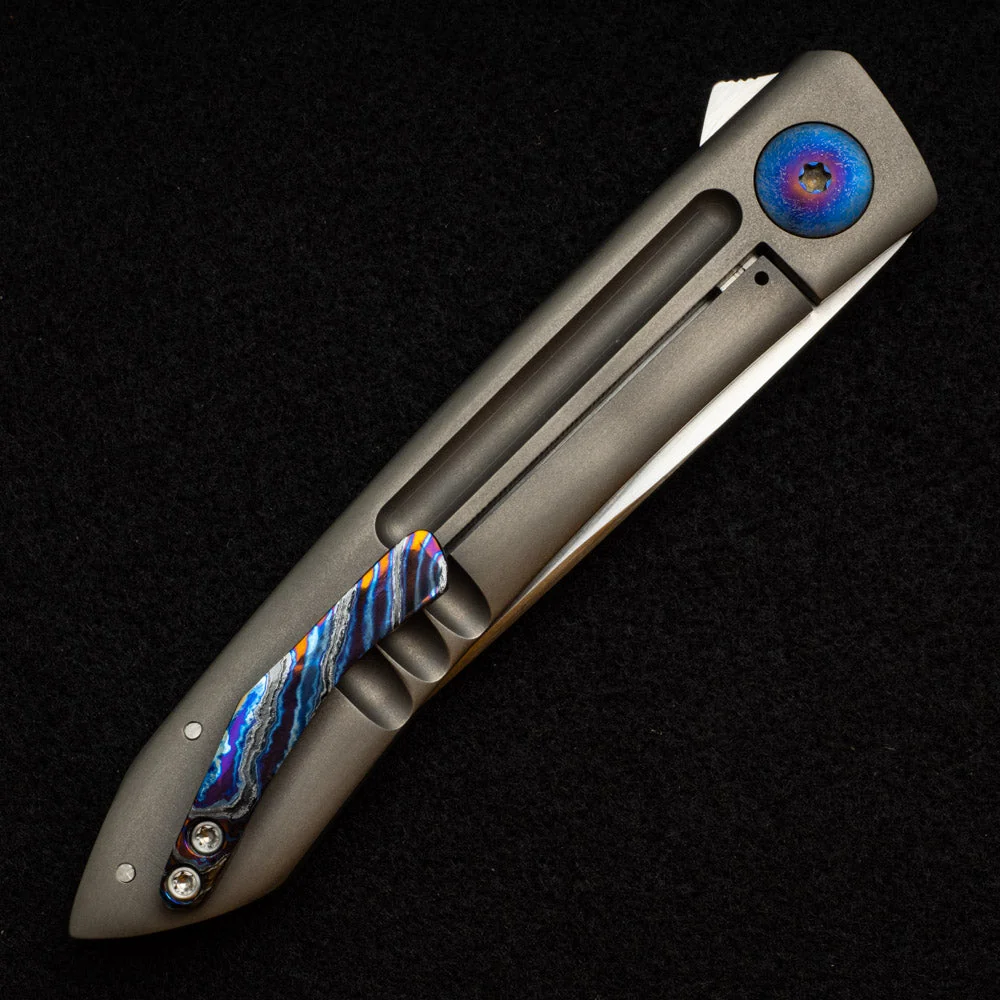 Anchovy - Image 5