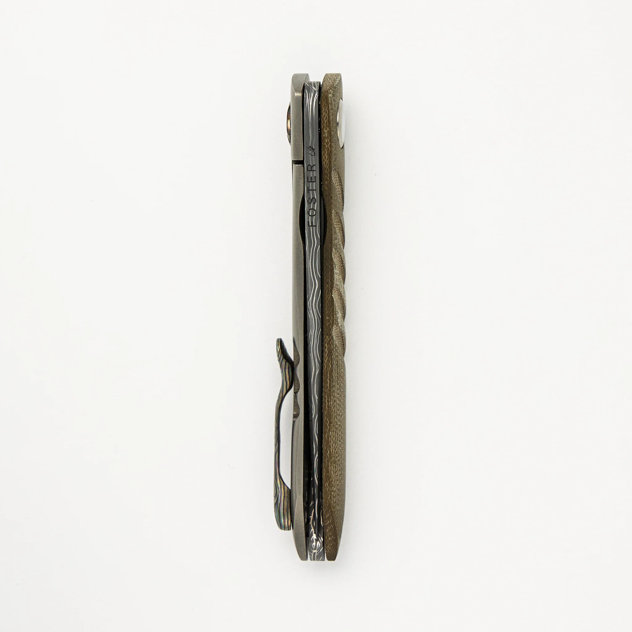 Anchovy - Image 5