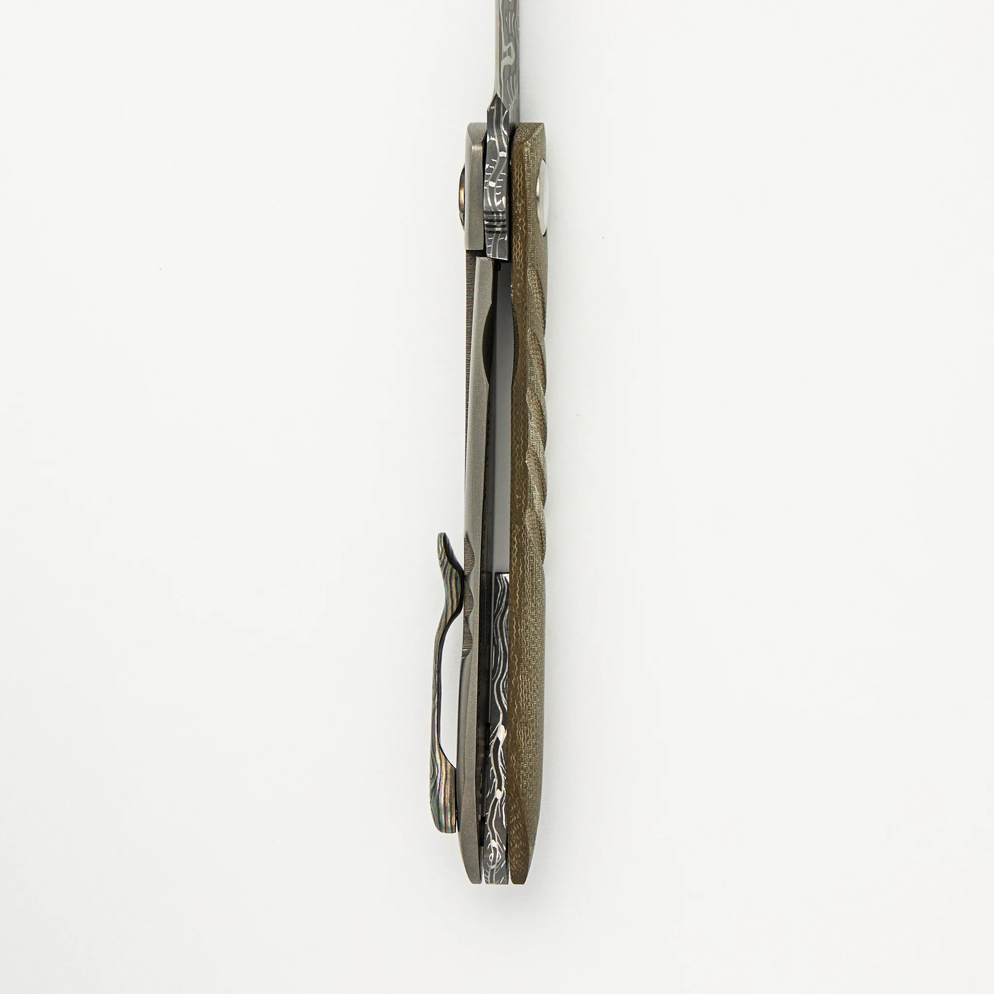 Anchovy - Image 6