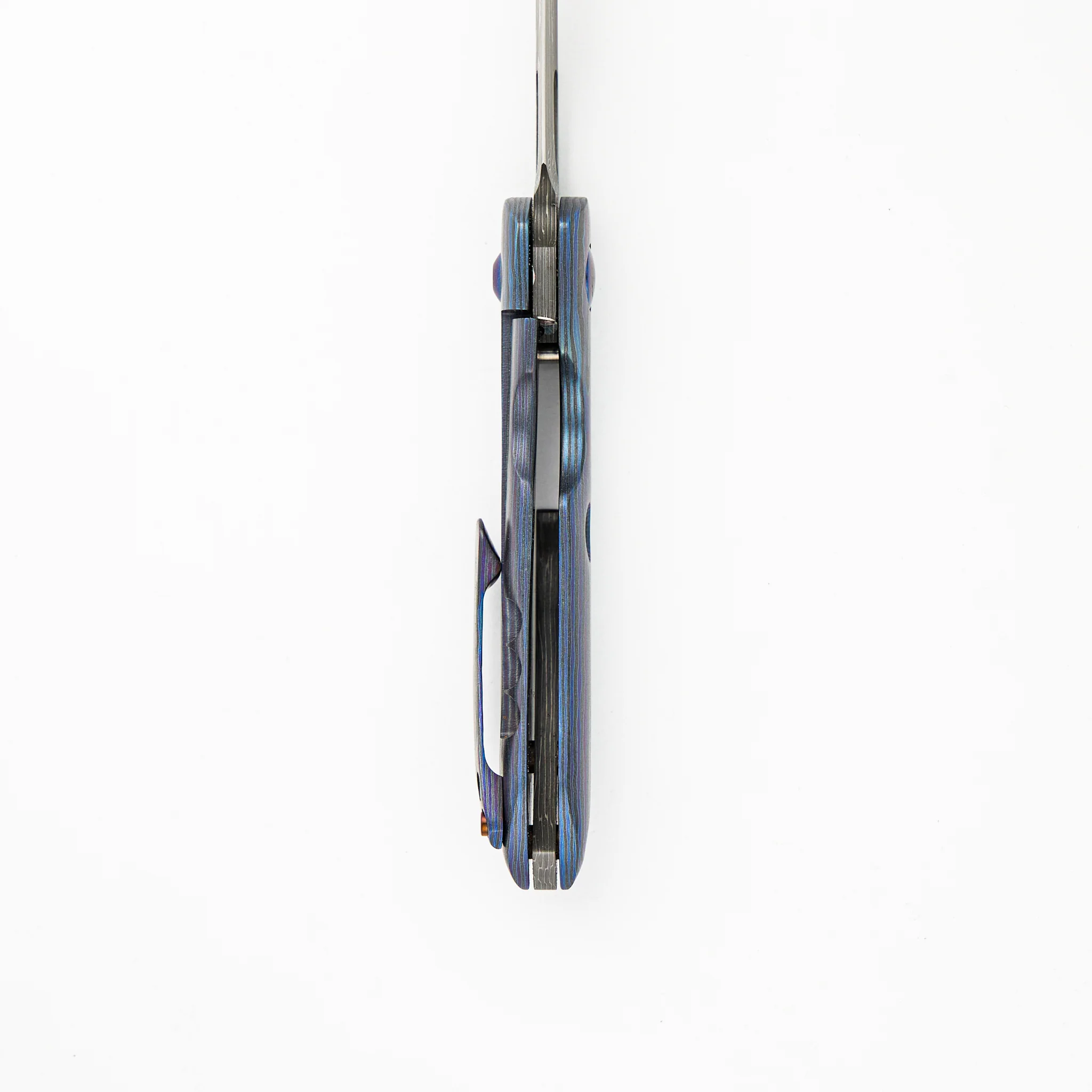 Lil' Anchovy - Image 6