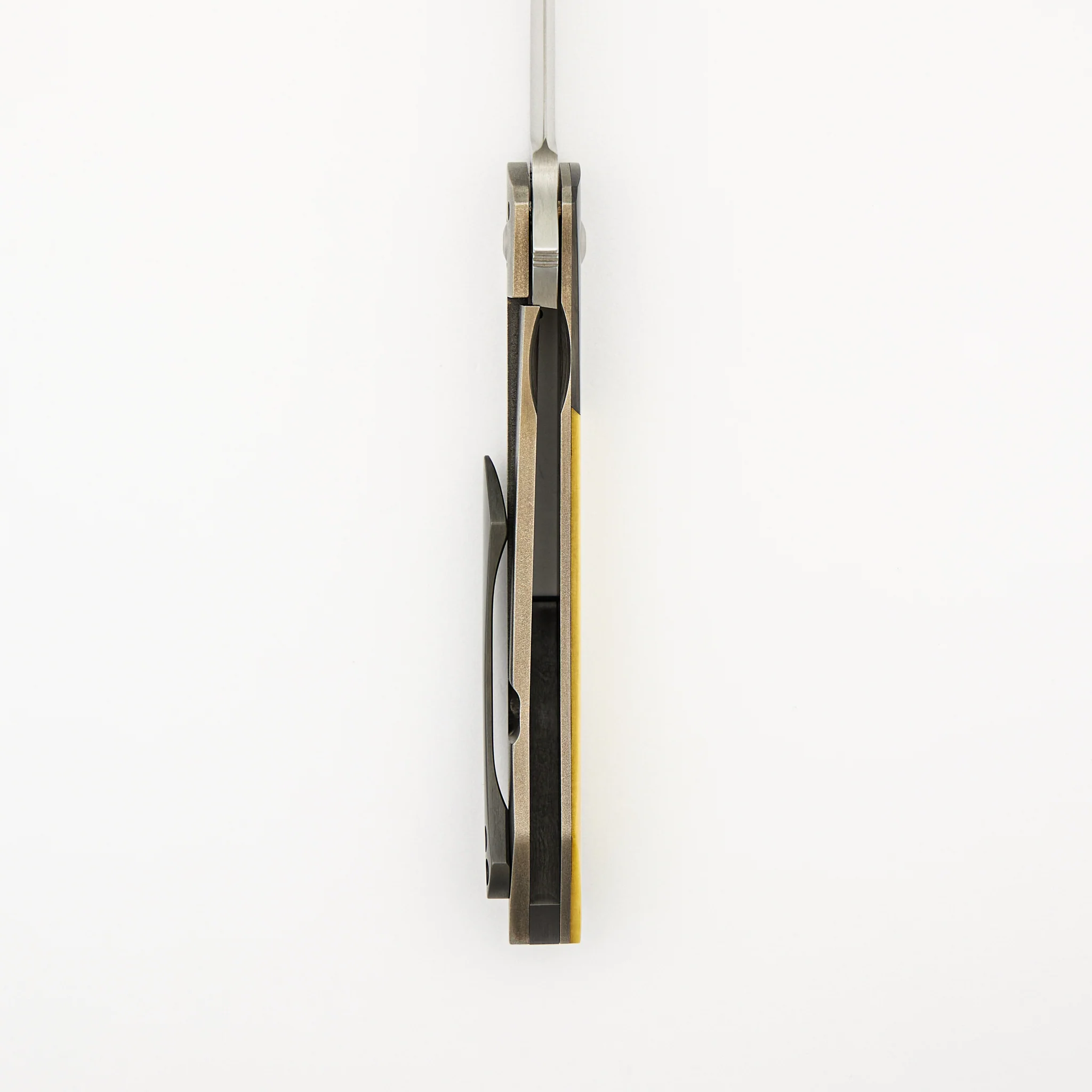 Ray Laconico Collaboration Anchovy - Image 6