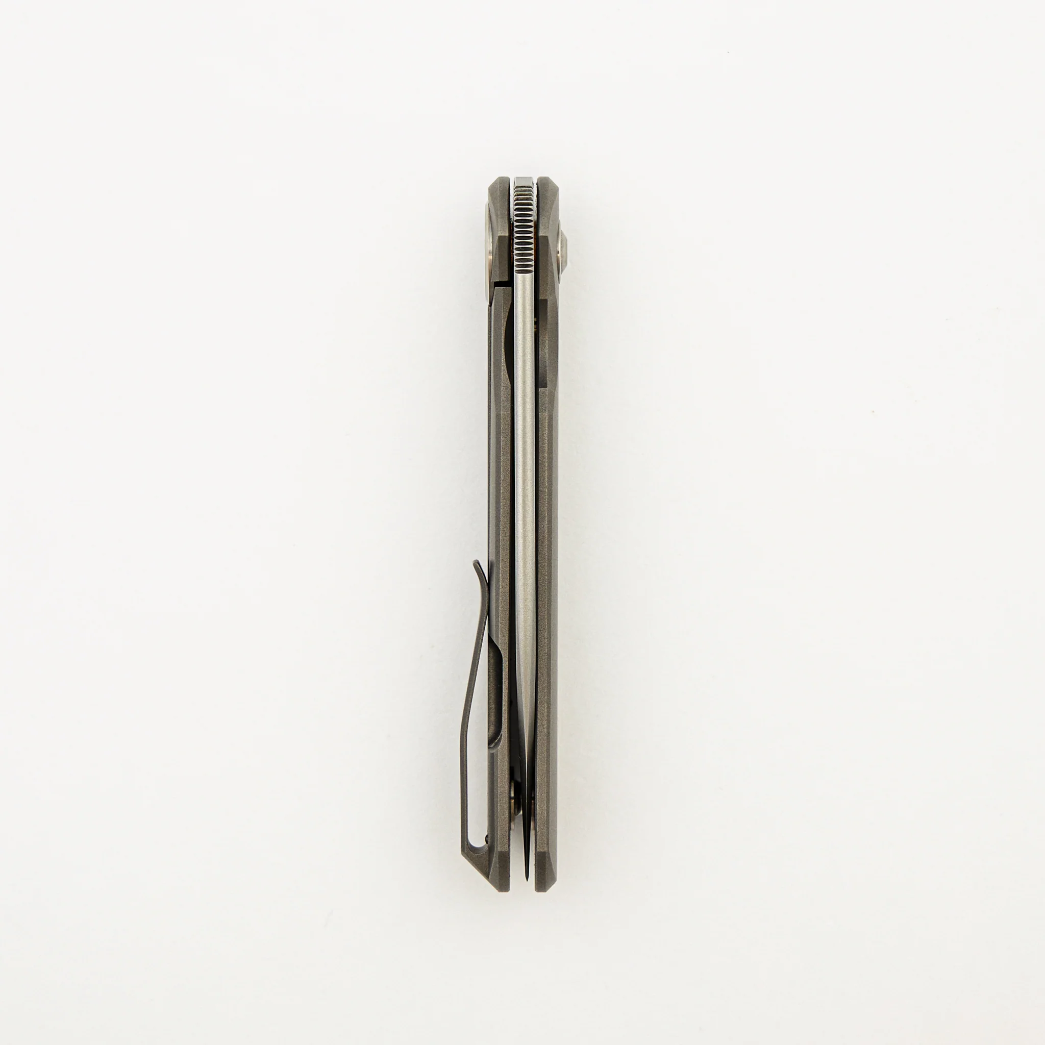 Shamwari 3.3 - Image 5