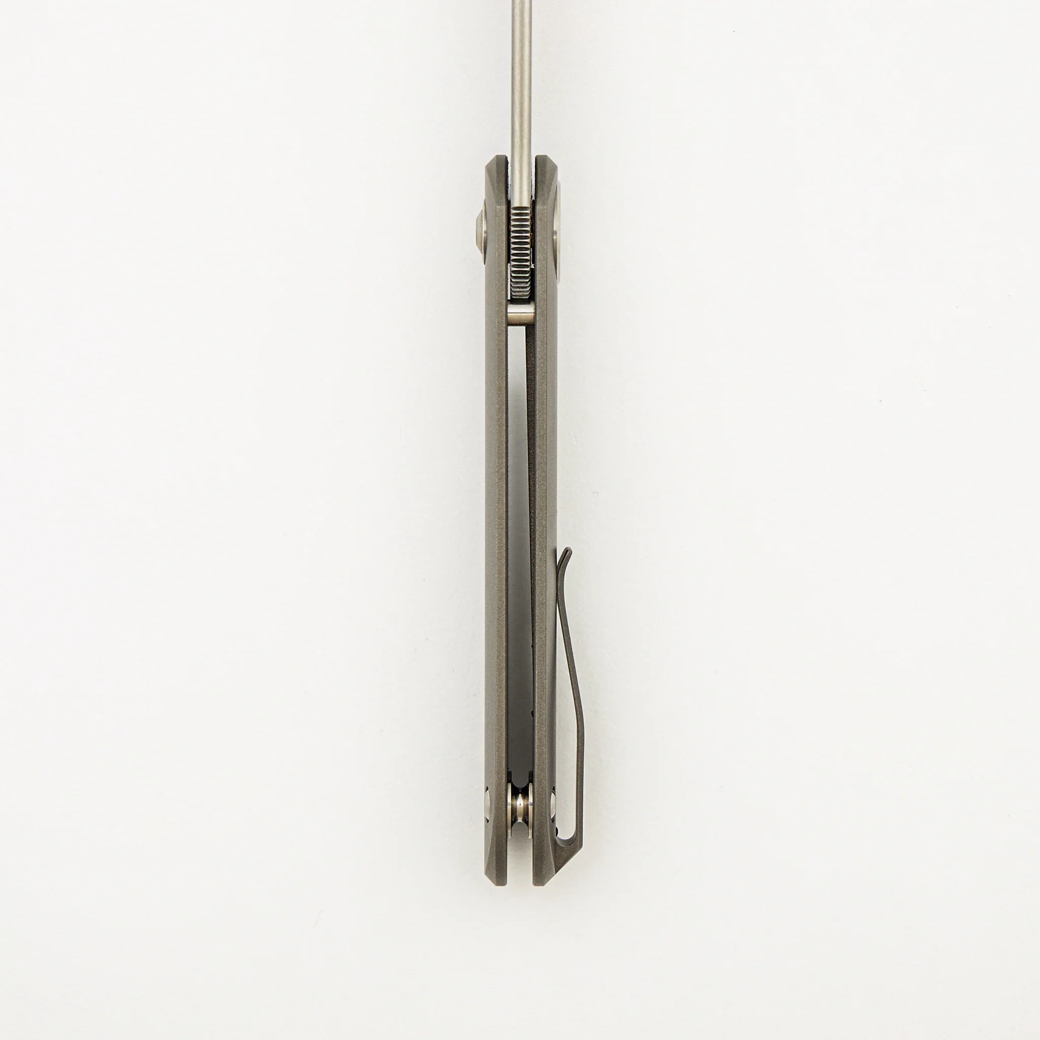 Shamwari 3.3 - Image 7