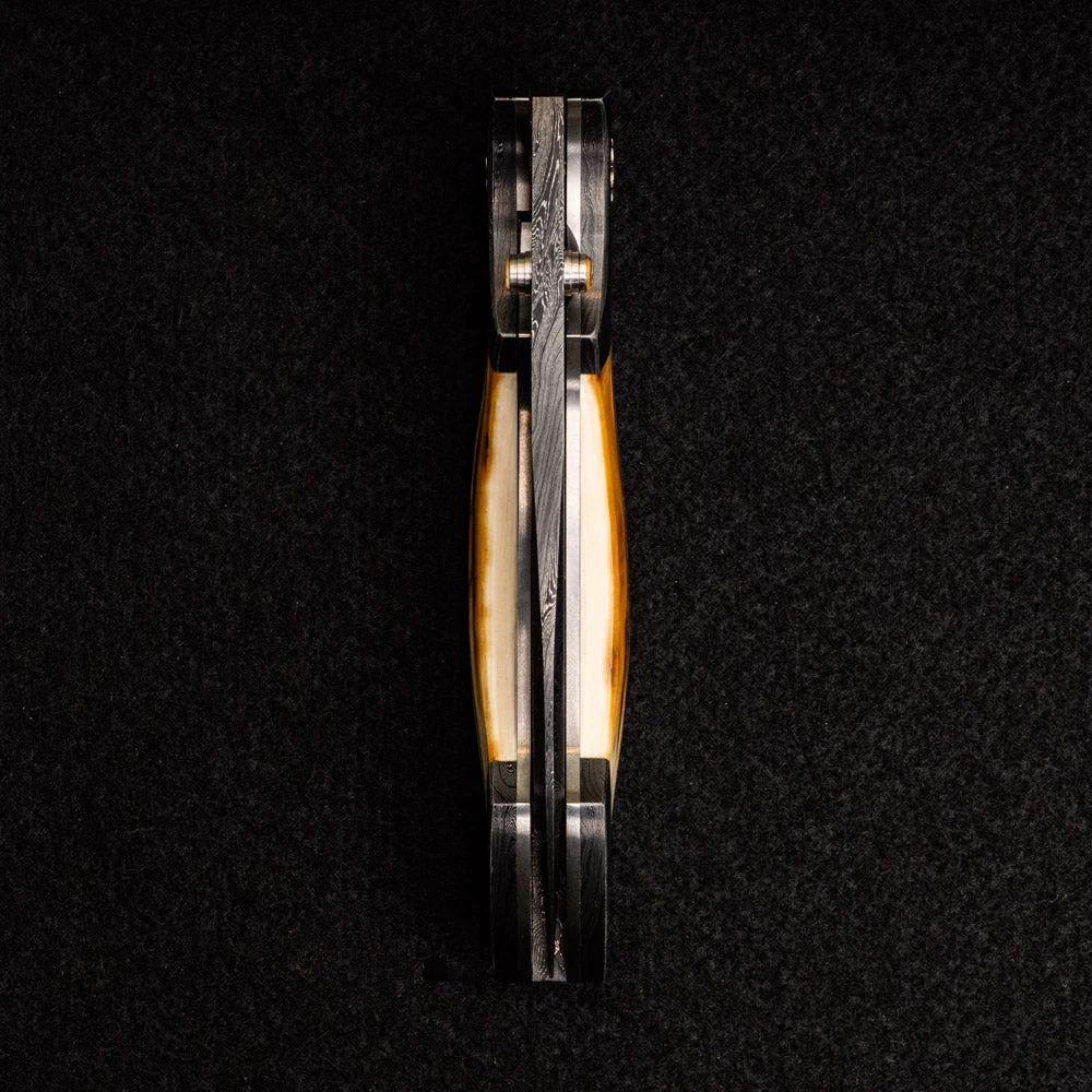 Hawkbill - Image 6