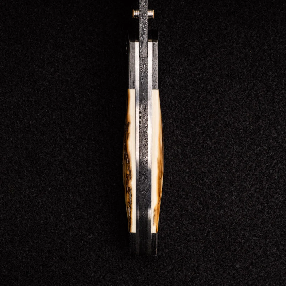 Hawkbill - Image 8